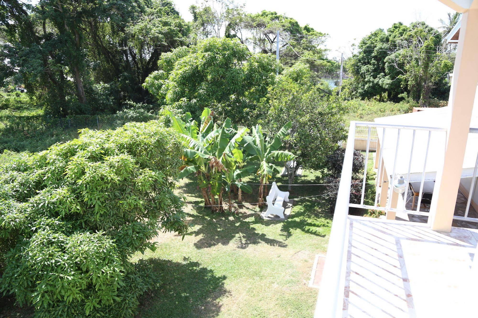 Lesville Tobago Canaan Exteriér fotografie